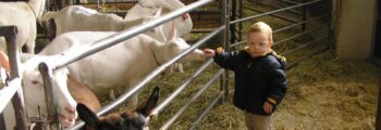Gemeindewandertag 2008