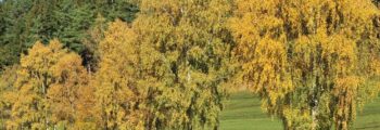 Gemeindewandertag 2021